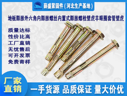 地板膨脹外六角內膨脹螺絲內置式膨脹螺栓壁虎羊眼圈套管壁虎