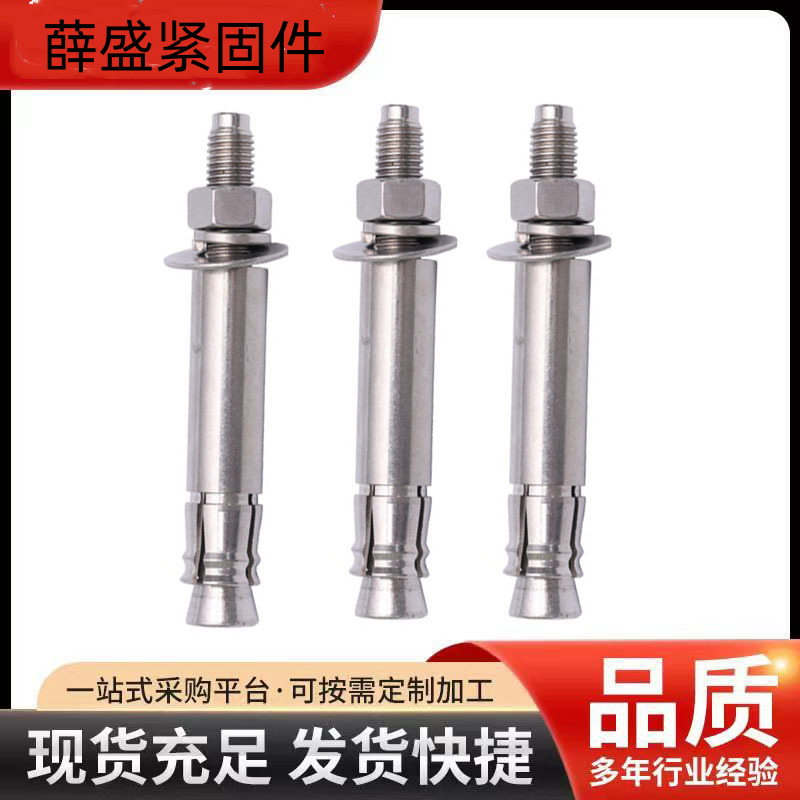 機械錨栓 定型錨栓 化學錨栓 建筑加固錨 化學錨栓配套膠管